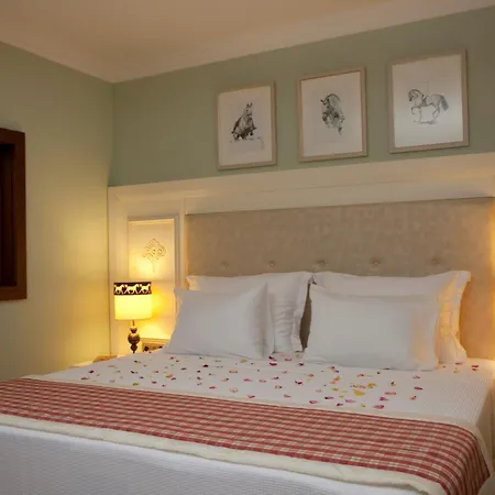 Padok Premium & Stables 4*