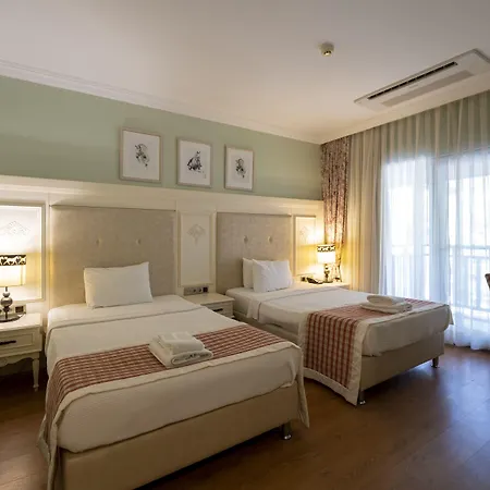 Padok Premium & Stables Gokova