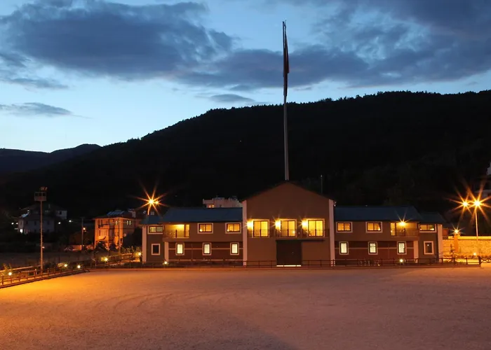 Padok Premium & Stables 4* Gokova