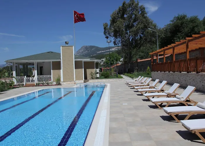 Padok Premium & Stables 4*