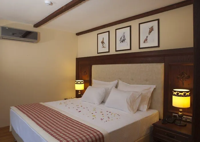 Hotel Padok Premium & Stables 4*