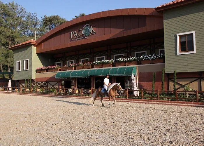 Hotel Padok Premium & Stables Gokova