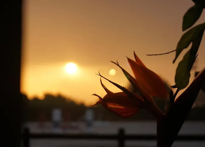 Padok Premium & Stables Hotel