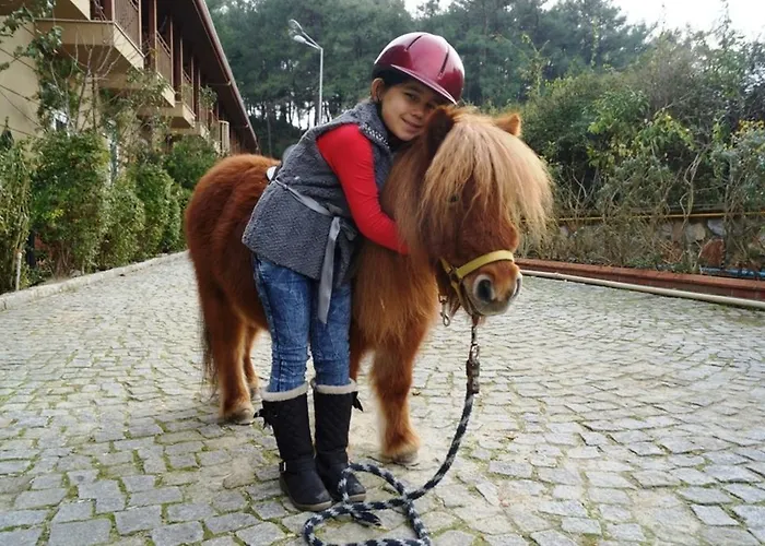 Padok Premium & Stables Hotel 4*