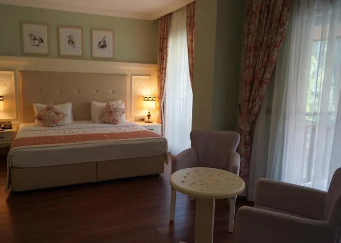 Padok Premium & Stables Gokova