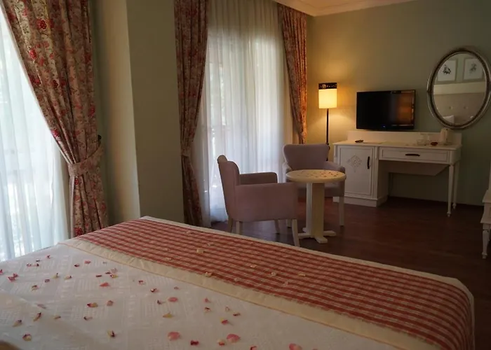 Padok Premium & Stables Gokova