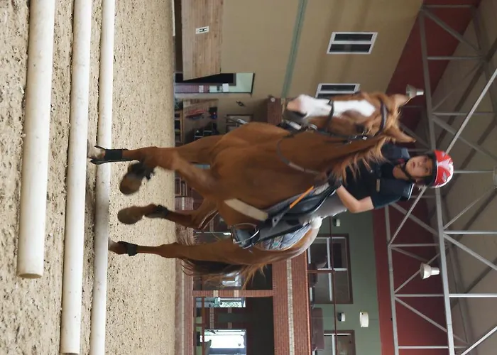 Padok Premium & Stables Gokova