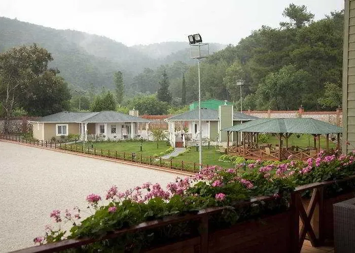 Padok Premium & Stables Hotel Gokova