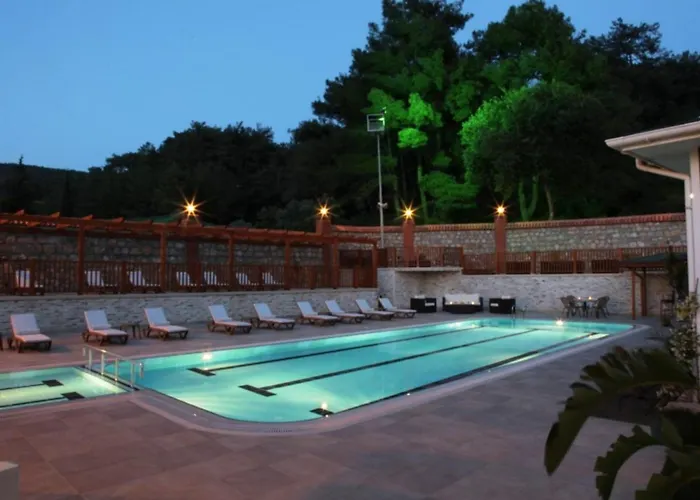 Padok Premium & Stables Hotel