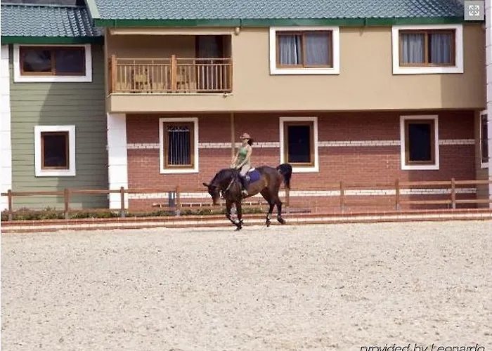 Padok Premium & Stables 4* Gokova