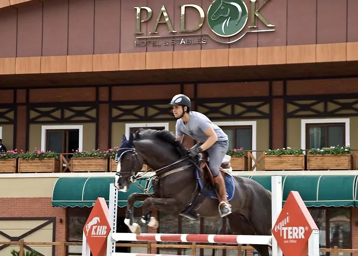 Padok Premium & Stables