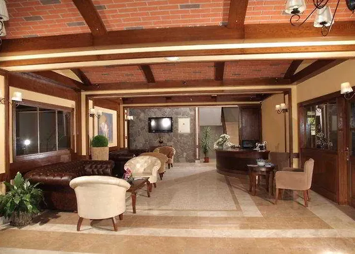 Padok Premium & Stables