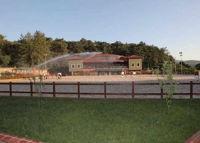 Padok Premium & Stables Hotel