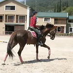 Padok Premium & Stables