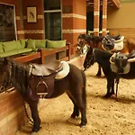 Hotel Padok Premium & Stables 4*