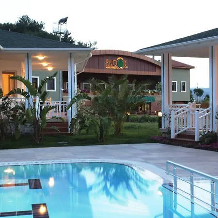 Padok Premium & Stables Gokova