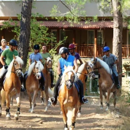 Hotel Padok Premium & Stables 4*