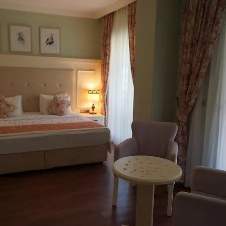 Padok Premium & Stables Gokova