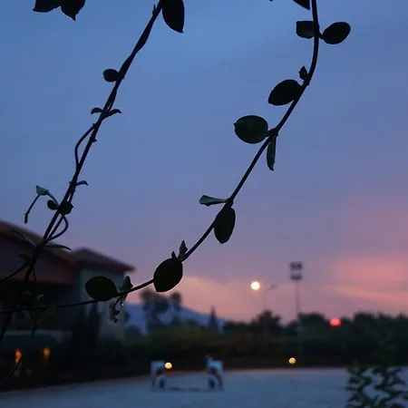 Padok Premium & Stables Gokova