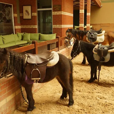 Hotel Padok Premium & Stables 4*