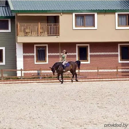 Padok Premium & Stables 4* Gokova