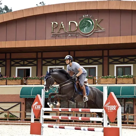 Padok Premium & Stables
