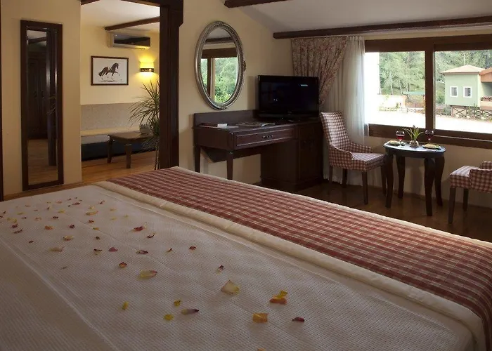 Padok Premium & Stables מלון 4*