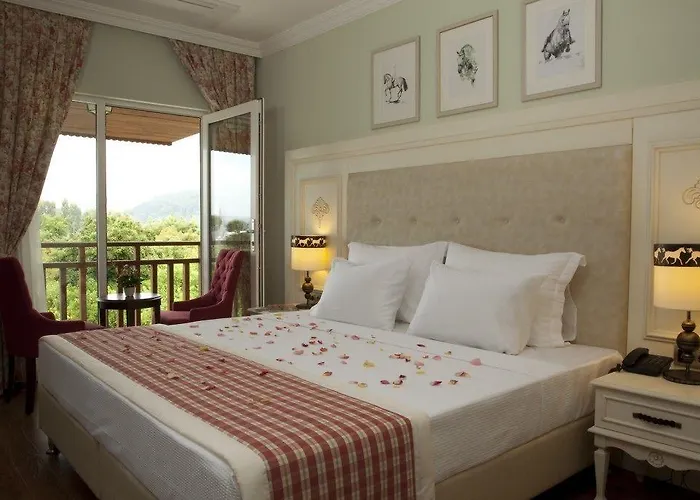 Padok Premium & Stables מלון 4*