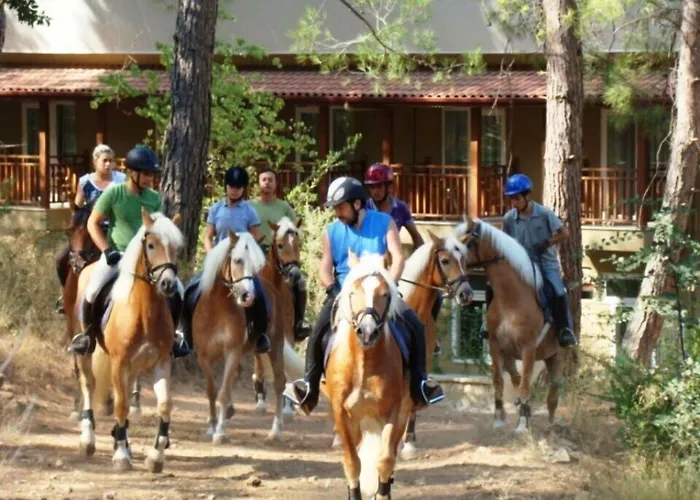 מלון Padok Premium & Stables 4*