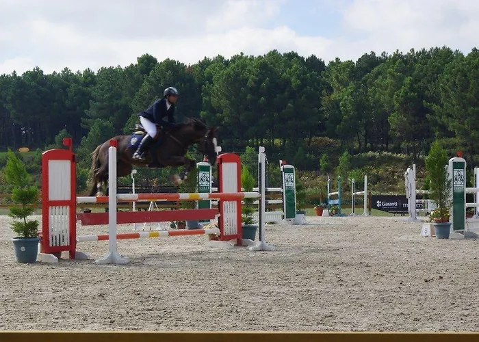 Padok Premium & Stables מלון