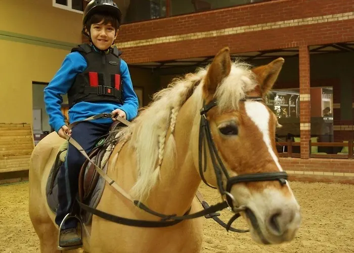 מלון Padok Premium & Stables 4*