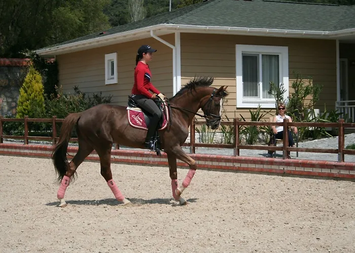 Padok Premium & Stables מלון Gökova