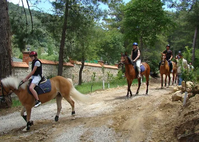 Padok Premium & Stables מלון 4*