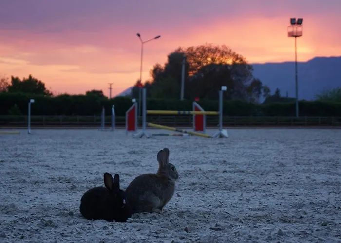 מלון Padok Premium & Stables Gökova