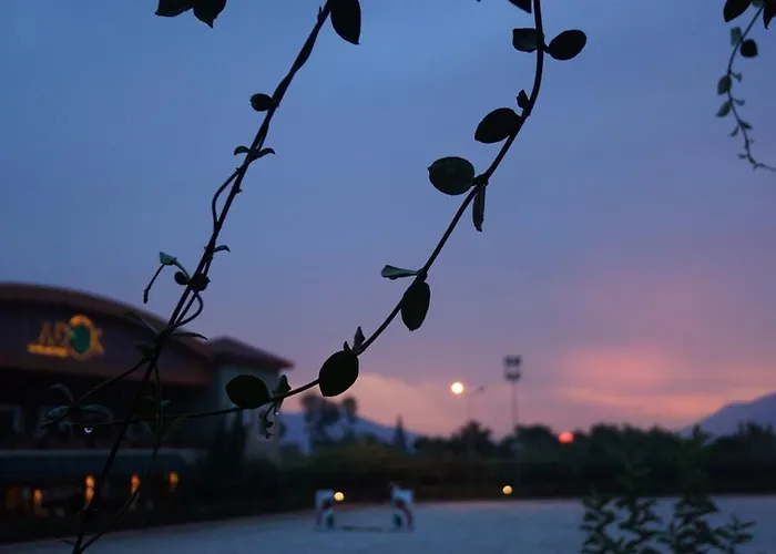 Padok Premium & Stables Gökova