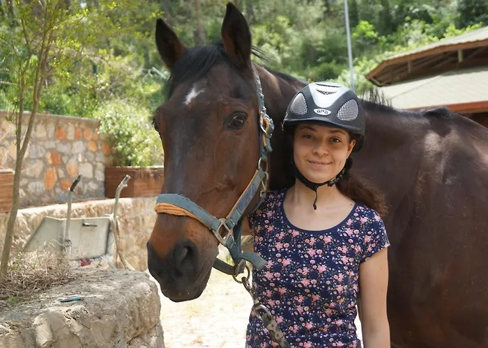 מלון Padok Premium & Stables 4*