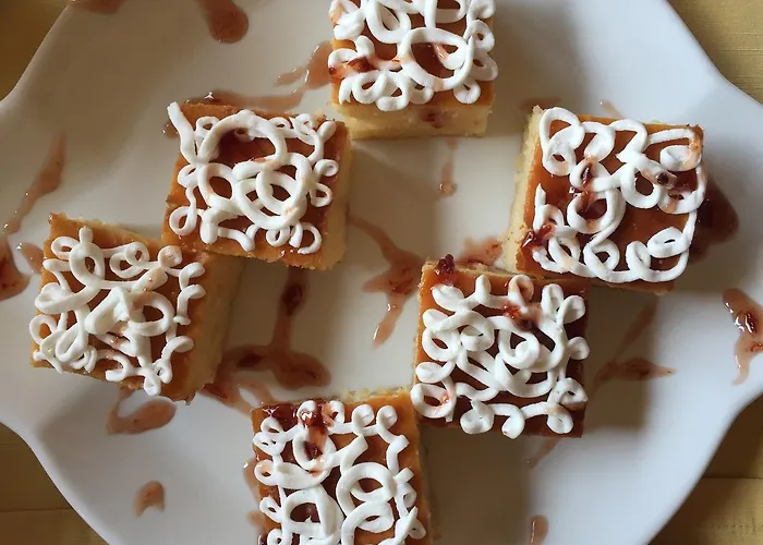 Padok Premium & Stables