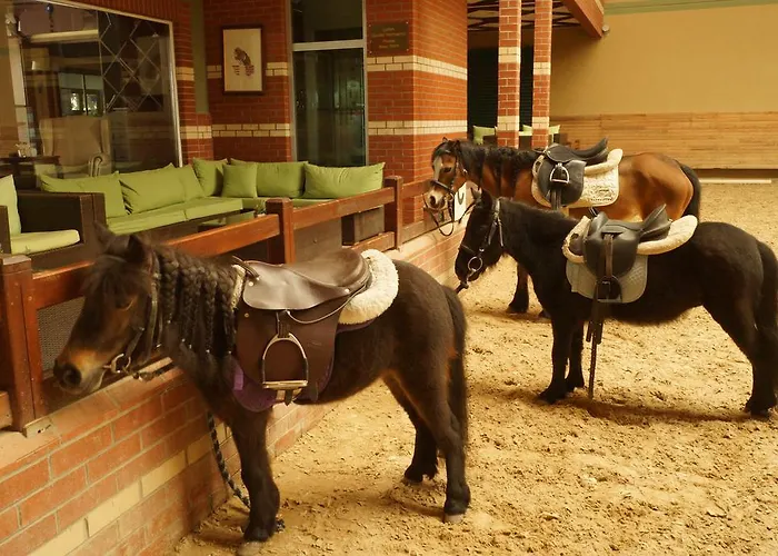 מלון Padok Premium & Stables 4*