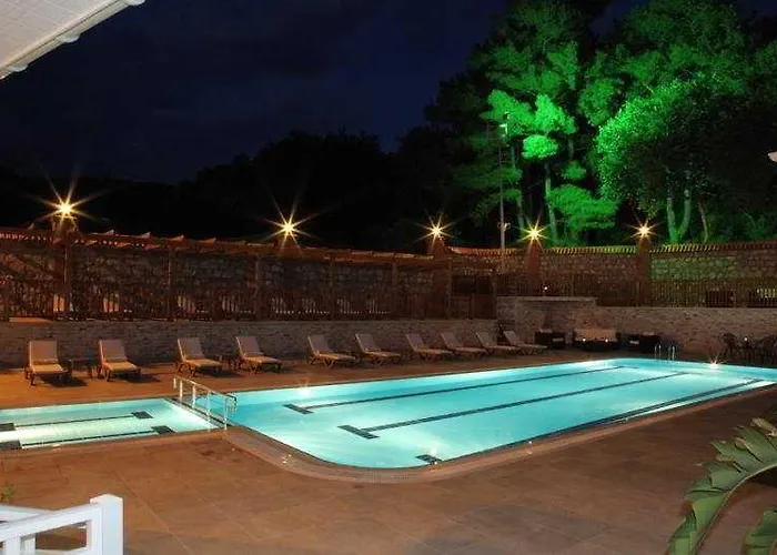 Padok Premium & Stables 4*